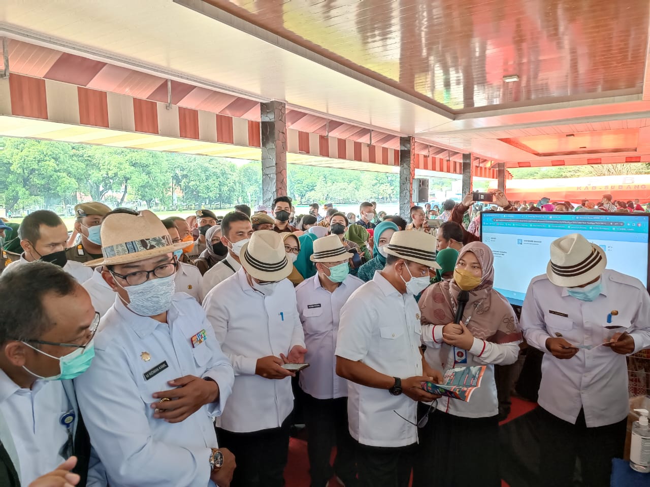 dexagroup-herbaasimor-stunting